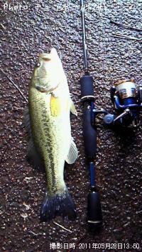 ¥Ö¥é¥Ã¥¯¥Ð¥¹