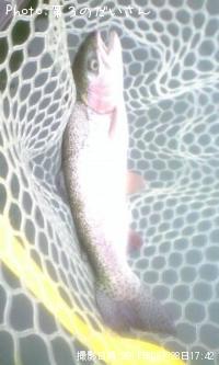 �쥤��ܡ��ȥ饦��