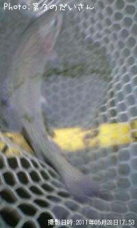 �쥤��ܡ��ȥ饦��