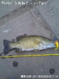 ¥Ö¥é¥Ã¥¯¥Ð¥¹