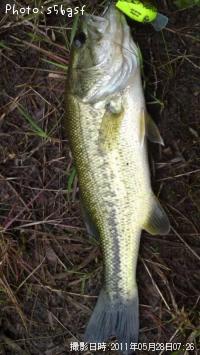 ¥Ö¥é¥Ã¥¯¥Ð¥¹