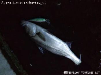 �����Х�