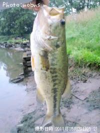 �֥�å��Х�