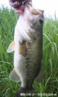 �֥�å��Х�