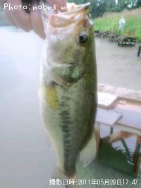 ¥Ö¥é¥Ã¥¯¥Ð¥¹