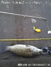 ¥Ö¥é¥Ã¥¯¥Ð¥¹