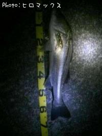 �����Х�