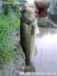 �֥�å��Х�