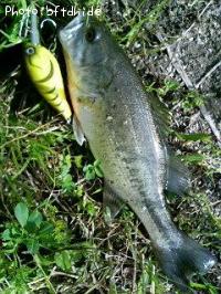 �֥�å��Х�