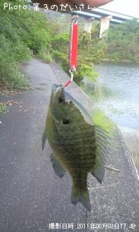 ¥Ö¥ë¡¼¥®¥ë