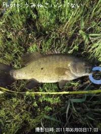 ¥Ö¥é¥Ã¥¯¥Ð¥¹