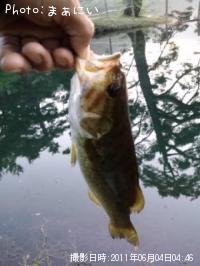 �֥�å��Х�