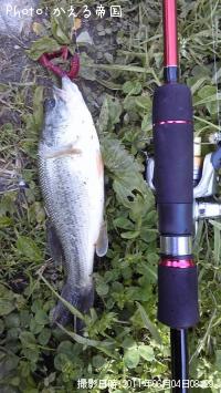 �֥�å��Х�