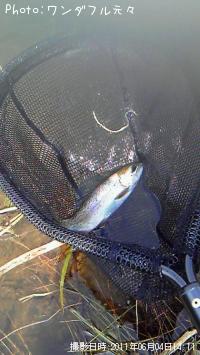 ¥ì¥¤¥ó¥Ü¡¼¥È¥é¥¦¥È