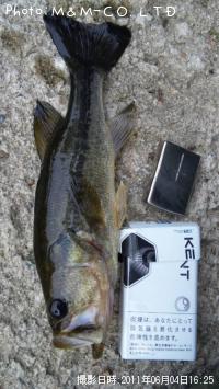 ¥Ö¥é¥Ã¥¯¥Ð¥¹