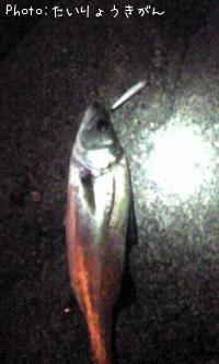 �����Х�