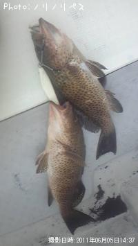 �����ϥ�