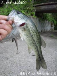 ¥Ö¥é¥Ã¥¯¥Ð¥¹