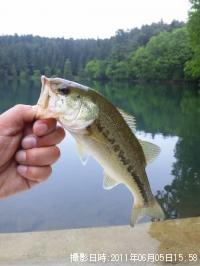 ¥Ö¥é¥Ã¥¯¥Ð¥¹