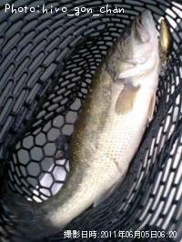 ¥Ö¥é¥Ã¥¯¥Ð¥¹