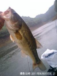 ¥Ö¥é¥Ã¥¯¥Ð¥¹