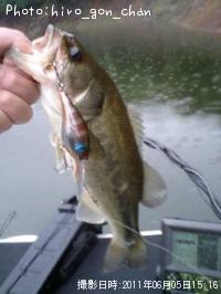 ¥Ö¥é¥Ã¥¯¥Ð¥¹