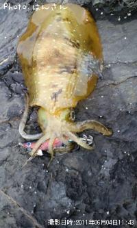 �����ꥤ��