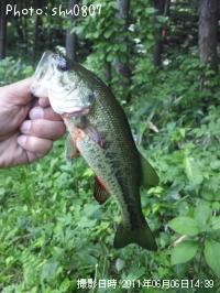 ¥Ö¥é¥Ã¥¯¥Ð¥¹