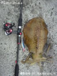 ¥¢¥ª¥ê¥¤¥«