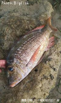 ¥¢¥ß¥Õ¥¨¥Õ¥