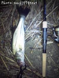 �����Х�