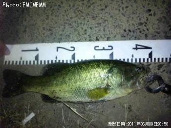 �֥�å��Х�