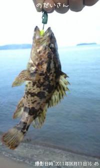 �����Υ���Х�