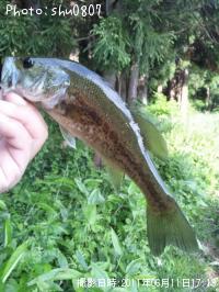 �֥�å��Х�