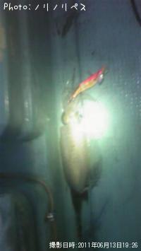 �����ꥤ��