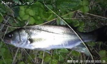 �����Х�