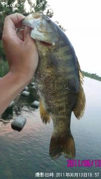 ¥¹¥â¡¼¥ë¥Þ¥¦¥¹¥Ð¥¹