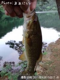 ¥Ö¥é¥Ã¥¯¥Ð¥¹