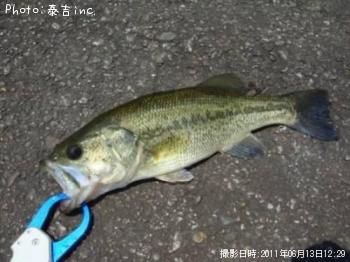 �֥�å��Х�