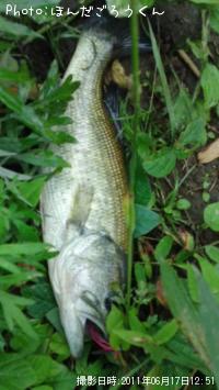 �֥�å��Х�