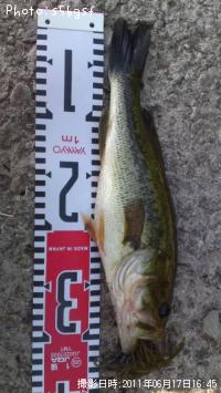 ¥Ö¥é¥Ã¥¯¥Ð¥¹