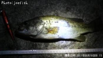 �֥�å��Х�