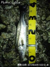 �����Х�