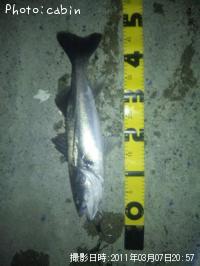 �����Х�