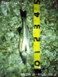 �����Х�