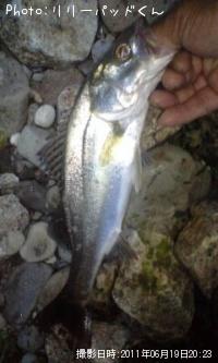 �������ޤĤ�����