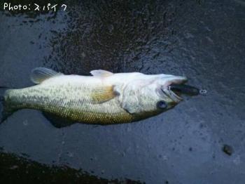 �֥�å��Х�