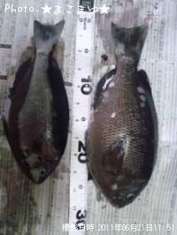 �᥸�ʡ�����