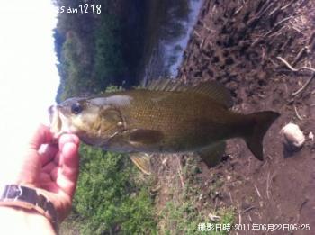 ���⡼��ޥ����Х�