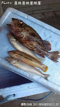 ���������������٥�����